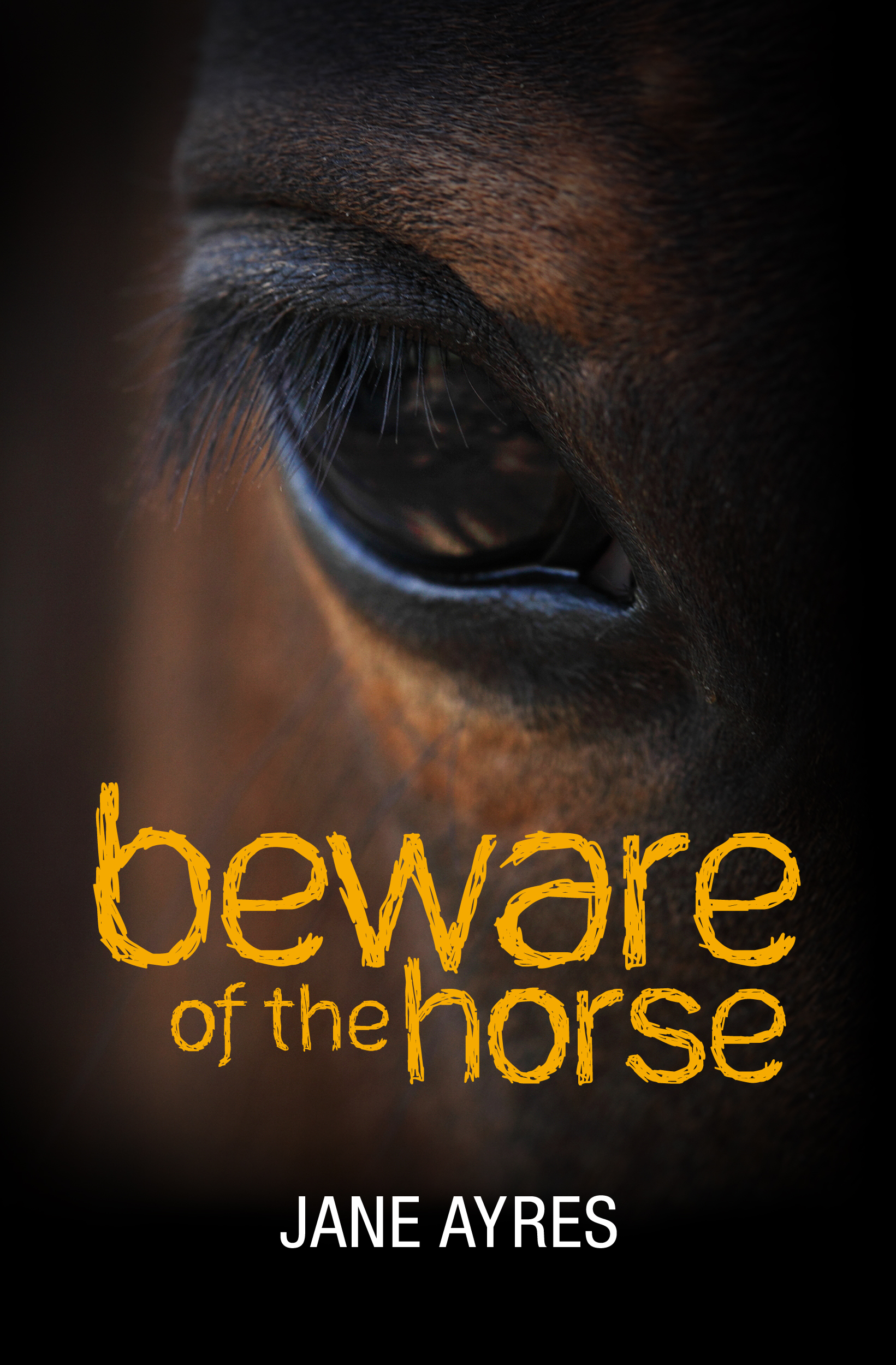  - beware-of-the-horse-4-1